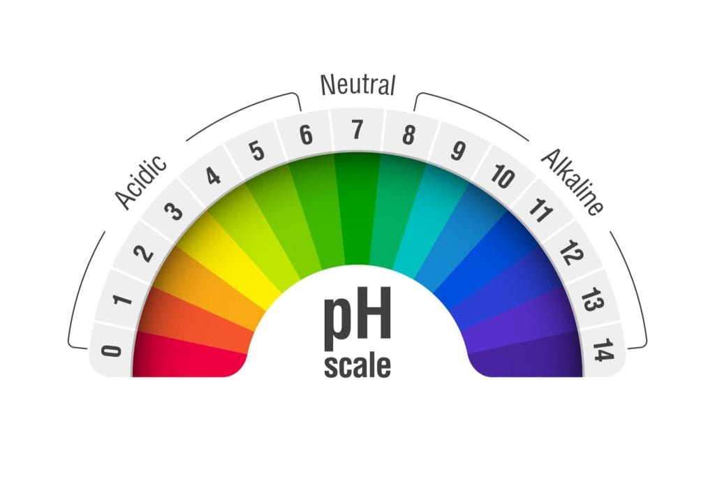 Water Quality Audit Study