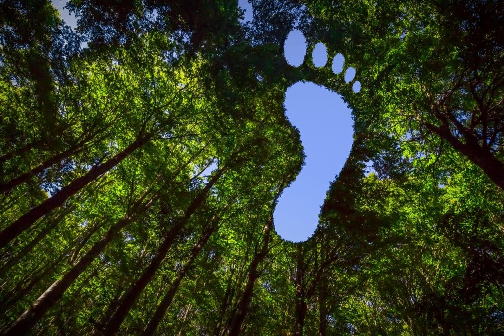 Carbon Footprint assessment