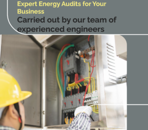 Energy auditing